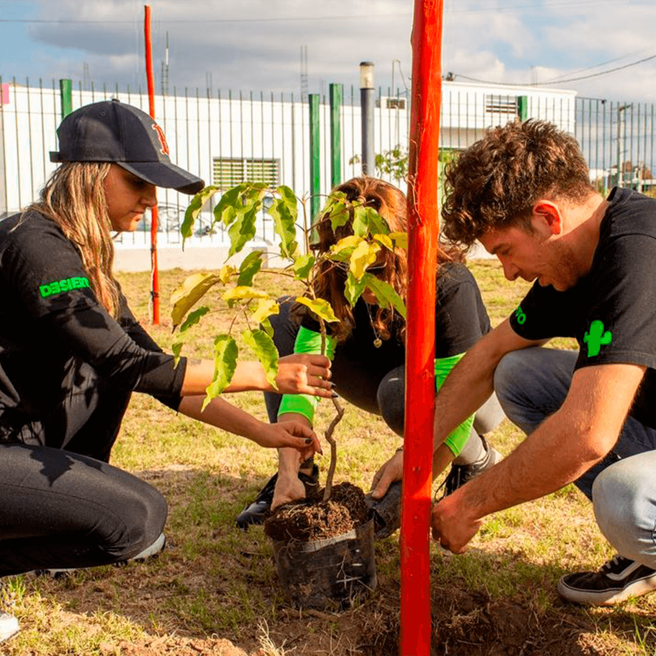 Voluntarios de Desierto plantando un árbol